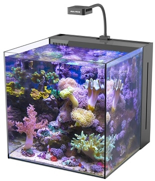 Juletilbud!! Aqua Medic Yasha 60 Marine Aquarium